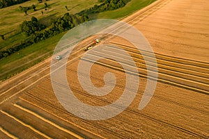 Sklizeň pšenice. Letecký pohled na kombajn při práci během sklizně. Zemědělství pozadí.