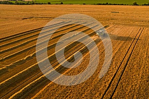Sklizeň pšenice. Letecký pohled na kombajn při práci během sklizně. Zemědělství pozadí.