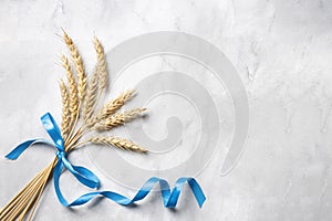 Wheat crops bouquet with blue ribbon. Happy Shavuot