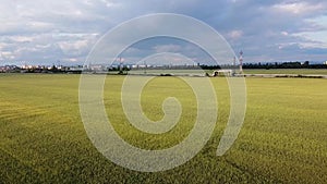 Wheat cultivated fields near Ploiesti City Romania , aerial view