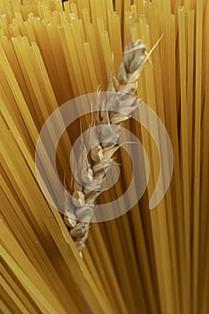 Wheat ear on the background of spaghetti.