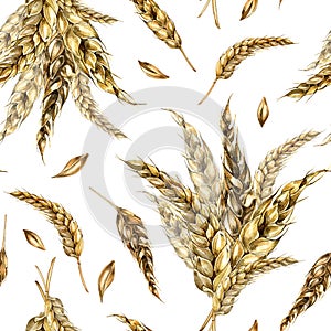 Wheat ear bunch watercolor seamless pattern isolated on white background. Spikelet of rye, barley, grains hand drawn