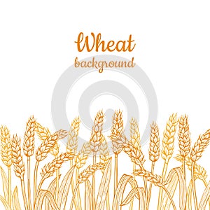 Wheat ear gold sketch border background agricultural linear flour frame horizontal pattern vector