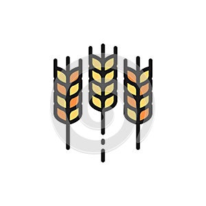 Wheat ear, grain flat color line icon. Isolated on white background
