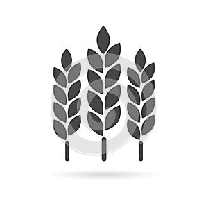 Wheat ear icon