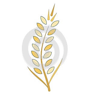 Wheat Ear Line Vector Isolated Icon customized and editable