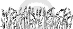 Wheat ear sketch border background cereals ripe spike frame horizontal pattern farm design template