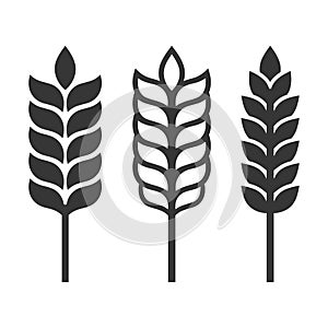 Wheat Ear Spica Icon Set on White Background. Vector