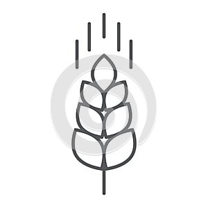 Wheat ear thin line icon, farming and agriculture