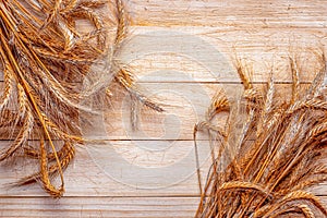 Wheat ear. Whole, barley, harvest wheat sprouts. Wheat grain ear or rye spike plant on wooden texture or brown natural