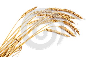 Wheat ears