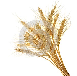 Wheat ears