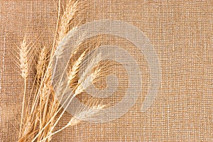 Wheat Ears border on Burlap background
