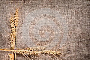 Wheat Ears border on Burlap background