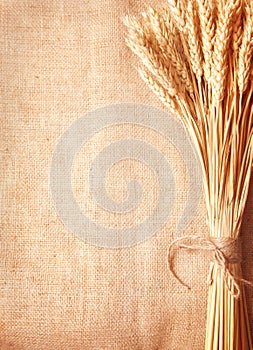 Wheat ears border on burlap background