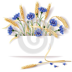 Wheat ears and cornflowers photo