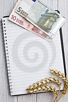 Wheat ears and euro money on notebook