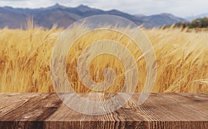 Wheat ears field background, ripe wheat crop with wooden floor