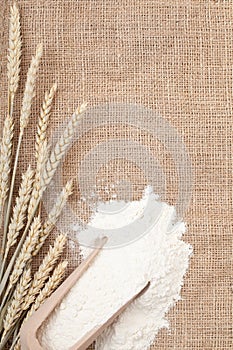 Wheat ears and flour