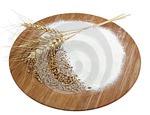 Wheat ears flour