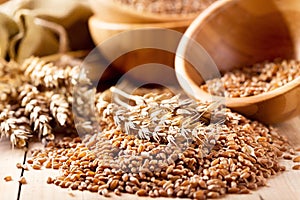 Wheat ears and grains