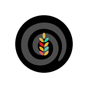 Wheat ears icon. Flat design, trendy modern color style. Spikes of rye, wheat. Barley isolated vector illustration. Sign