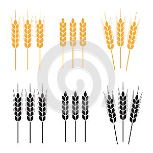 Wheat ears icon set. Agricultural symbols on white background. Design elements for bread packaging or beer label. Vector illustra