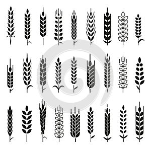 Wheat Ears Icons and Logo Set.