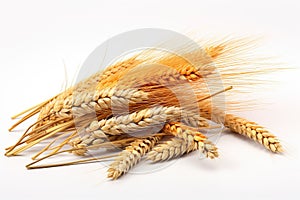 Wheat ears isolated on white background. Generated by artificial intelligence