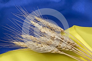 wheat ears lying on flag of Ukraine