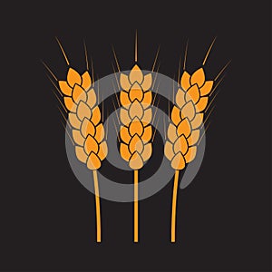 Wheat ears or rice icon. Agricultural and crop symbols isolated on dark background. Design element for bread packaging.