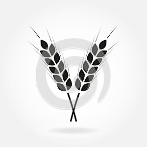 Wheat ears or rice icon. Crop, barley or rye symbol