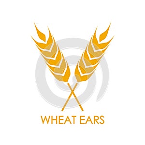 Wheat ears or rice icon. Crop, barley or rye symbol isolated on white background. Design element for beer label or bread packaging