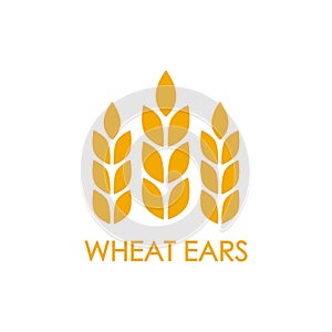 Wheat ears or rice icon. Crop, barley or rye symbol isolated on white background. Design element for beer label or bread packaging