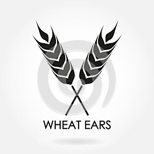Wheat ears or rice icon. Crop, barley or rye symbol isolated on white background. Design element for beer label or bread packaging