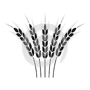 Wheat ears or rice icon. Crop symbol on white background. Design element for bread packaging or beer label. Vector illustration