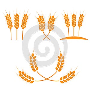 Wheat ears or rice icons set. Agricultural symbols isolated on white background. Design elements for bread packaging or beer label