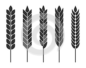 Wheat ears. Set of vector icons for organic agricultural product