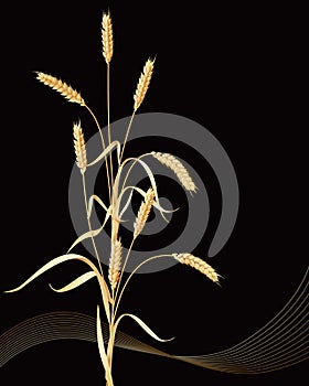 Wheat ears sheaf
