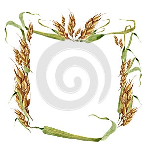 Wheat ears square frame watercolor pattern