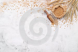 Wheat ears and wheat grains set up on white concrete background