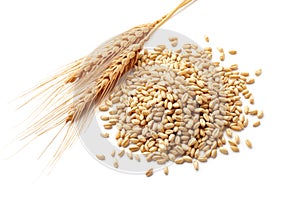 Wheat ears with wheat kernels