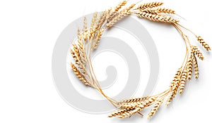 Wheat ears on a white background