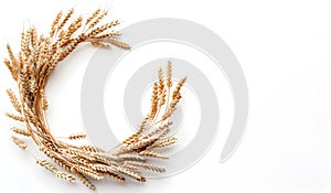 Wheat ears on a white background