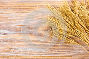 Grano orecchie sul di legno tavolo. fascio da grano Attraverso legna. raccolto 