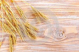 Wheat Ears on the Wooden Table. Sheaf of Wheat over Wood Background. Harvest concept