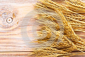 Wheat Ears on the Wooden Table. Sheaf of Wheat over Wood Background. Harvest concept