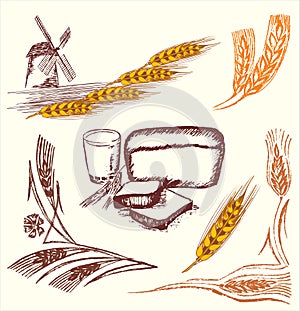 Wheat elements