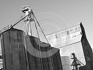 Wheat elevator