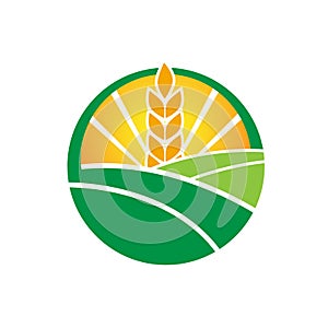 Wheat farm agruculture farm logo design vector